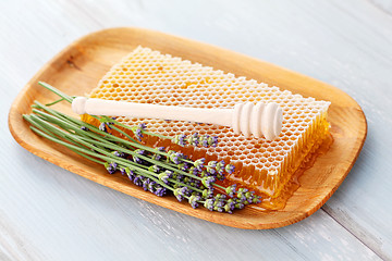 Image showing honey comb