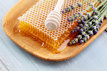 Image showing honey comb