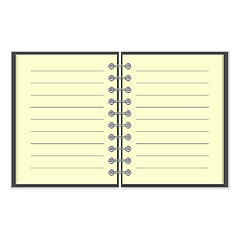 Image showing Open spiral lined notebook 