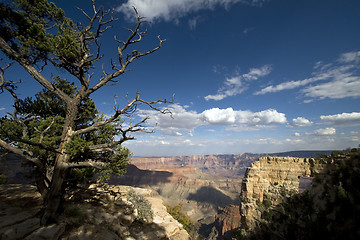 Image showing The Grand Canyon