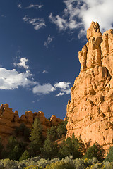 Image showing Zion National Park