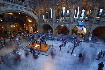 Image showing A dino at the National History Museum