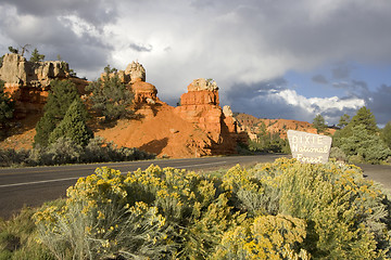 Image showing Dixie National Forest