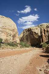 Image showing Capitol Reef National Park