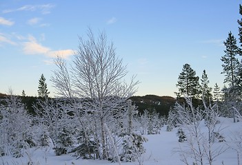 Image showing Winter landscape