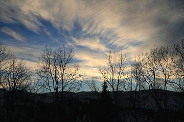 Image showing Winter silhouette