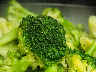 Image showing Closeup of fresh steamed green broccoli in fry pan