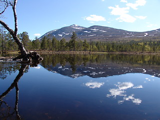 Image showing Norwegian Wilderness