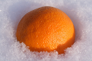 Image showing orange on snow