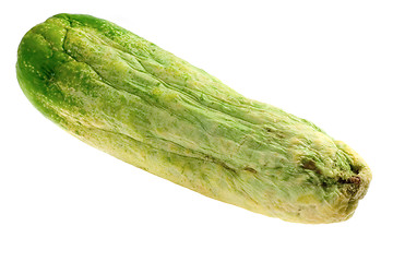 Image showing Dried cucumber

