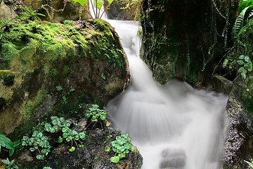 Image showing Waterfall

