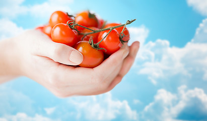 Image showing close up of woman hands holding cherry tomatoes