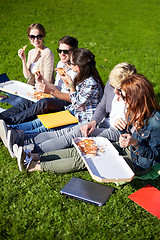 Image showing group of teenage students eating pizza on grass