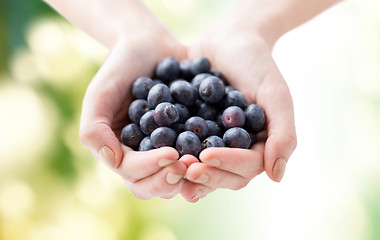 Image showing close up of woman hands holding blueberries