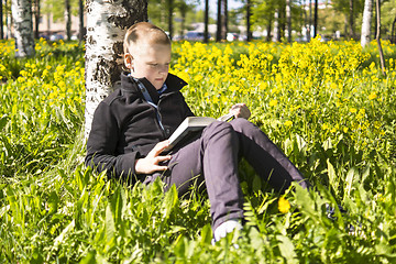 Image showing Boy reading book under birch