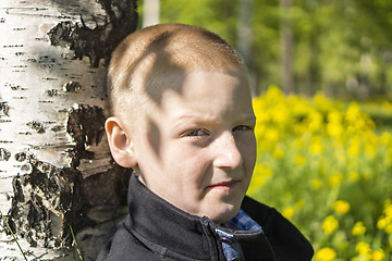 Image showing Portrait of young guy under birch