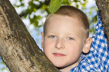 Image showing Portrait of a boy in a summer foliage