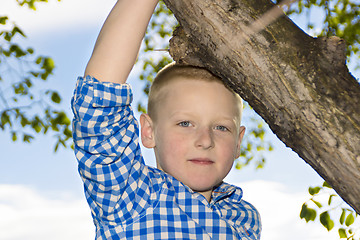 Image showing Portrait of a boy in a summer nature