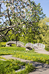 Image showing Foot bridges through river in park