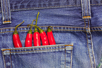 Image showing hot chili peppers in a jeans pocket