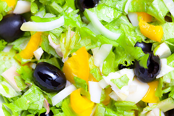 Image showing Assorted green leaf lettuce with squid and black olives