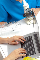 Image showing Scientist hands on laptop in lab