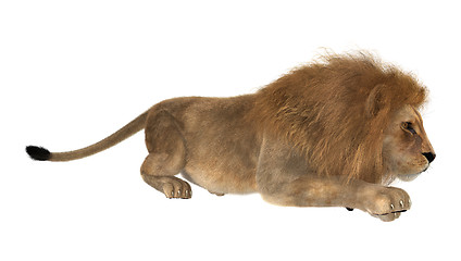 Image showing Hunting Lion