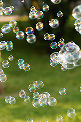 Image showing Soap bubbles