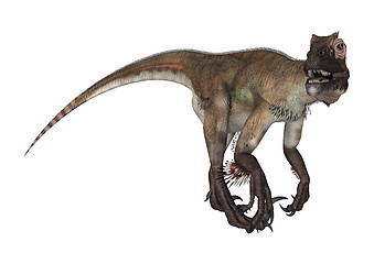 Image showing Dinosaur Utahraptor