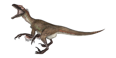 Image showing Dinosaur Utahraptor