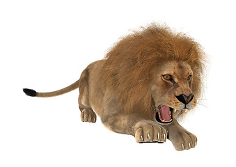 Image showing Hunting Lion