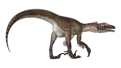 Image showing Dinosaur Utahraptor