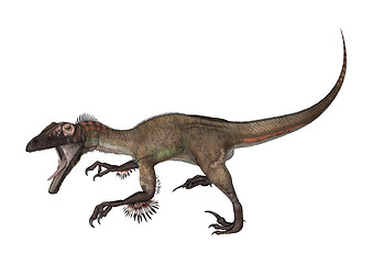 Image showing Dinosaur Utahraptor