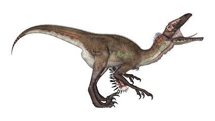 Image showing Dinosaur Utahraptor