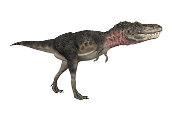 Image showing Dinosaur Tarbosaurus