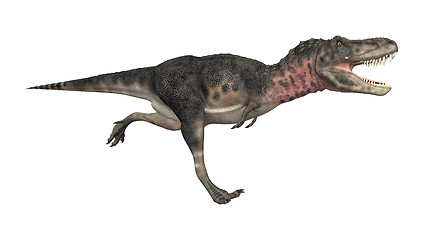 Image showing Dinosaur Tarbosaurus