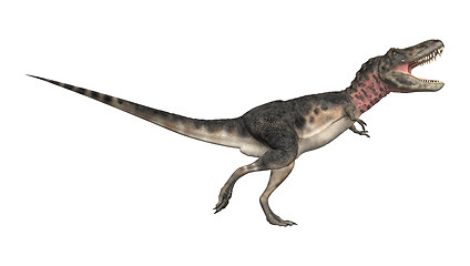 Image showing Dinosaur Tarbosaurus