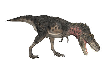 Image showing Dinosaur Tarbosaurus