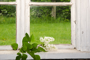 Image showing White lilacs decoration