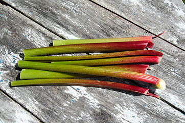 Image showing Colorful rhubarb stalks