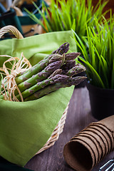 Image showing Fresh green asparagus with garden tools