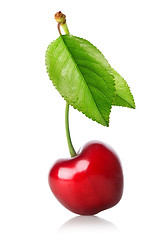 Image showing Cherry with leaf