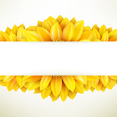 Image showing Sunflower on white background. EPS 10