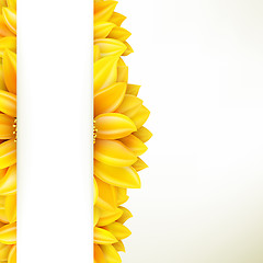 Image showing Sunflower on white background. EPS 10