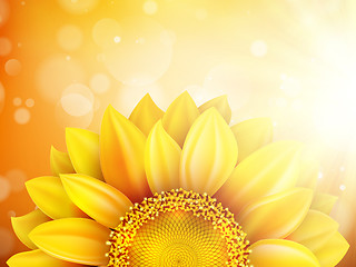 Image showing Macro SunFlower Background. EPS 10