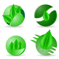 Image showing Leaves Icons