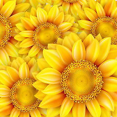 Image showing Sunflowers, realistic illustration. EPS 10