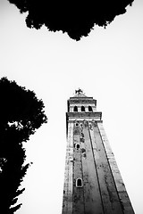 Image showing Saint Euphemia belfry in Rovinj bw