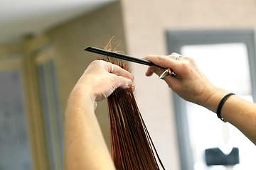 Image showing Hairdresser Cutting Hair Ends