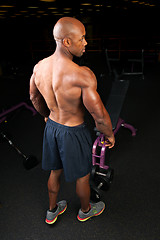 Image showing Muscular Back Shoulders and Triceps